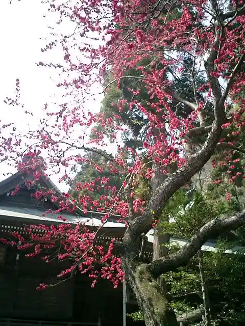御霊神社の自然