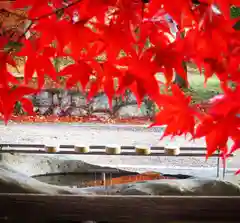 中山神社の手水