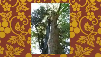 常陸國總社宮(茨城県)