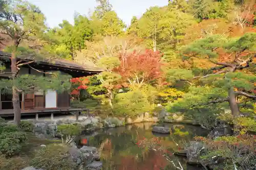 慈照寺（慈照禅寺・銀閣寺）の景色