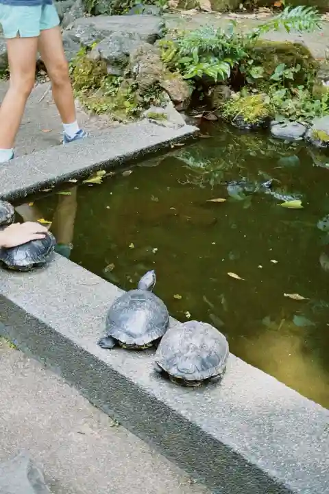 江島神社(神奈川県)