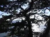 八大龍神社(愛知県)