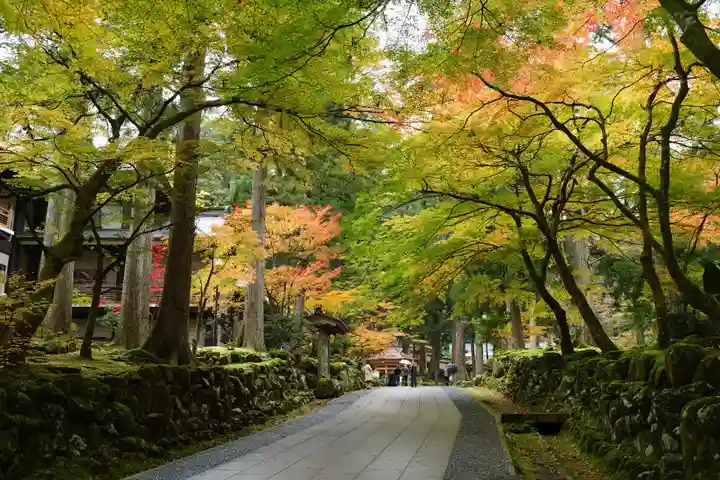 永平寺(福井県)