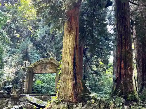 二王子神社(新潟県)