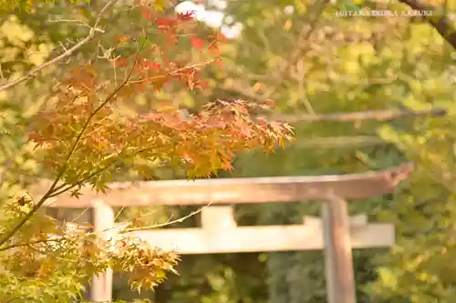 宮山神社の鳥居