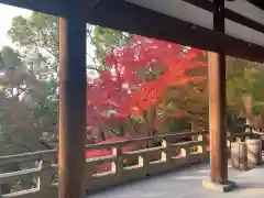 四條畷神社の建物その他