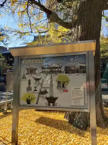 善福寺(東京都)