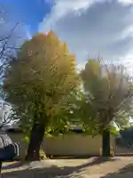 西中土神社(熊本県)