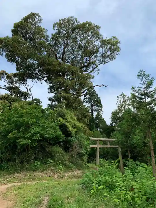 大宮神社(千葉県)
