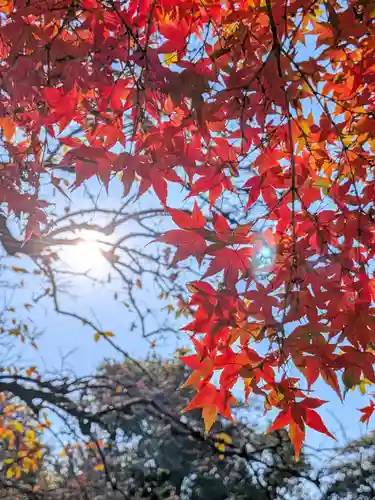 福蔵院(東京都)