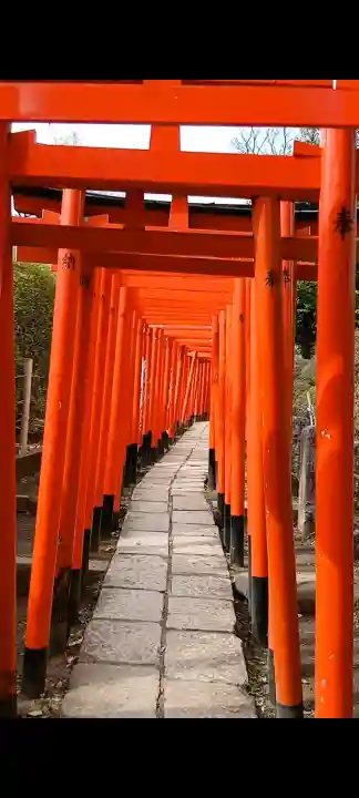 乙女稲荷神社の{uncategorized: "未分類", other: "その他", undefined: "問題あり", building: "その他建物", grave: "お墓", sacred_gate: "鳥居", guardian: "狛犬", statue: "像", buddha: "仏像", history: "歴史", nature: "自然", garden: "庭園", animal: "動物", pagoda: "塔", temizu: "手水舎", mountain_gate: "山門・神門", sanctuary: "本殿・本堂", subordinate: "末社・摂社", art: "芸術", scenery: "景色", jizo: "地蔵", ema: "絵馬", goshuin: "御朱印", omikuji: "おみくじ", items: "授与品その他", amulet: "お守り", goshuincho: "御朱印帳", eats: "食事", festival: "お祭り", votive_dance: "神楽", shichigosan: "七五三参", wedding: "結婚式", experience: "体験その他", initially: "初詣", around: "周辺", anti_infection: "感染症対策"}