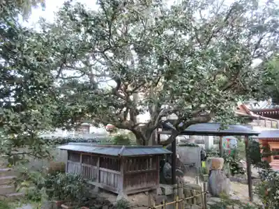 常福寺（椿堂）(愛媛県)