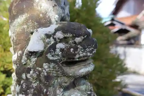 宇賀神社の狛犬