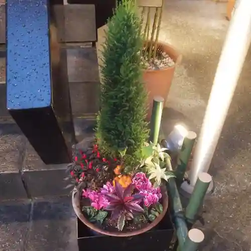 烏森神社の自然