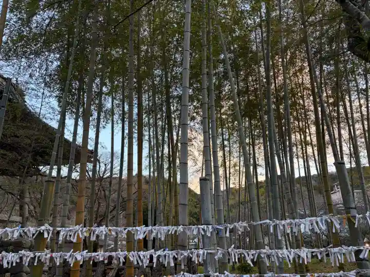 修禅寺の{uncategorized: "未分類", other: "その他", undefined: "問題あり", building: "その他建物", grave: "お墓", sacred_gate: "鳥居", guardian: "狛犬", statue: "像", buddha: "仏像", history: "歴史", nature: "自然", garden: "庭園", animal: "動物", pagoda: "塔", temizu: "手水舎", mountain_gate: "山門・神門", sanctuary: "本殿・本堂", subordinate: "末社・摂社", art: "芸術", scenery: "景色", jizo: "地蔵", ema: "絵馬", goshuin: "御朱印", omikuji: "おみくじ", items: "授与品その他", amulet: "お守り", goshuincho: "御朱印帳", eats: "食事", festival: "お祭り", votive_dance: "神楽", shichigosan: "七五三参", wedding: "結婚式", experience: "体験その他", initially: "初詣", around: "周辺", anti_infection: "感染症対策"}