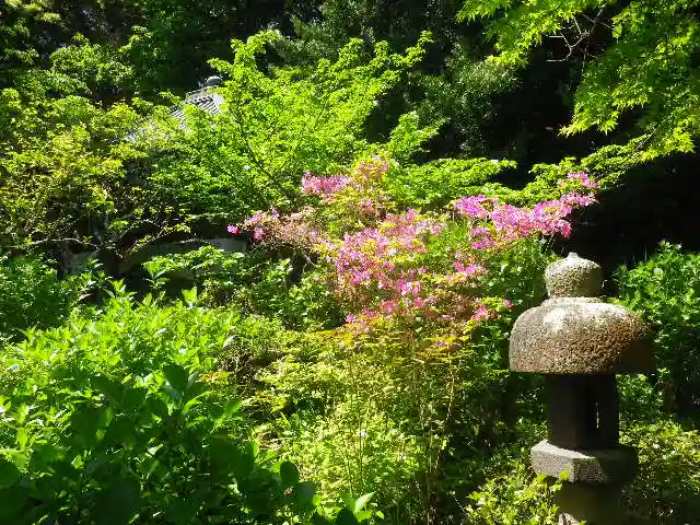 安國論寺(安国論寺)のその他建物