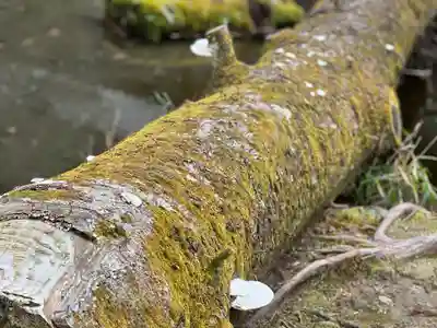 法然院(京都府)