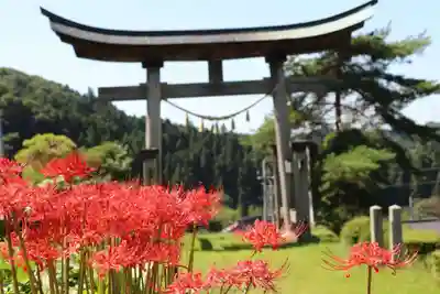 木幡山隠津島神社(二本松市)の鳥居