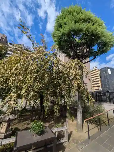 光明寺(東京都)