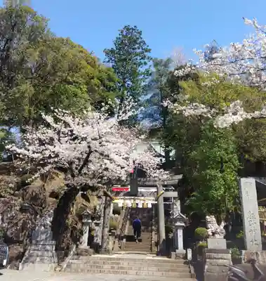 師岡熊野神社(神奈川県)