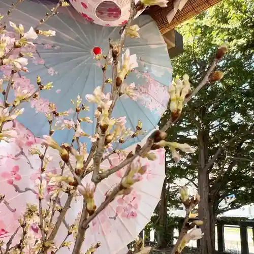 札幌諏訪神社の自然