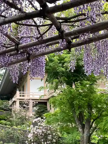東長谷寺　薬王院(東京都)