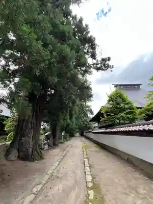 医王寺(福島県)
