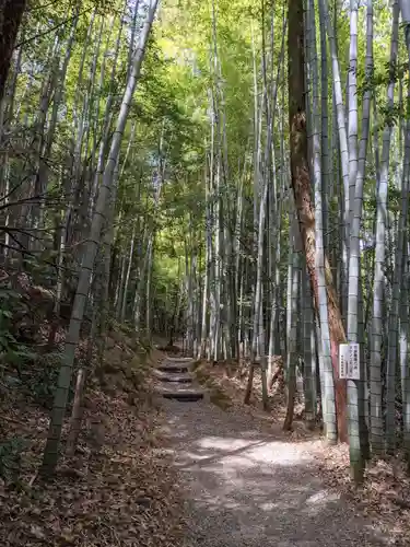 弥勒寺の自然