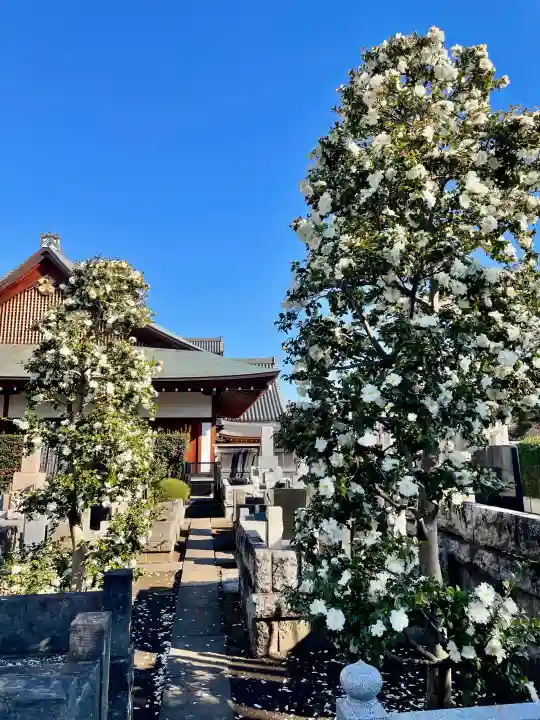 東北寺の{uncategorized: "未分類", other: "その他", undefined: "問題あり", building: "その他建物", grave: "お墓", sacred_gate: "鳥居", guardian: "狛犬", statue: "像", buddha: "仏像", history: "歴史", nature: "自然", garden: "庭園", animal: "動物", pagoda: "塔", temizu: "手水舎", mountain_gate: "山門・神門", sanctuary: "本殿・本堂", subordinate: "末社・摂社", art: "芸術", scenery: "景色", jizo: "地蔵", ema: "絵馬", goshuin: "御朱印", omikuji: "おみくじ", items: "授与品その他", amulet: "お守り", goshuincho: "御朱印帳", eats: "食事", festival: "お祭り", votive_dance: "神楽", shichigosan: "七五三参", wedding: "結婚式", experience: "体験その他", initially: "初詣", around: "周辺", anti_infection: "感染症対策"}