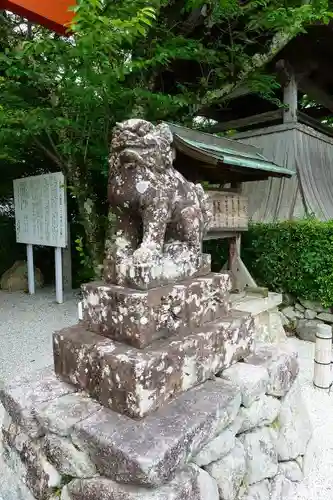 高鴨神社の狛犬