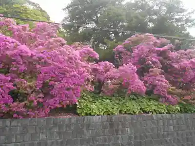 安養院　(田代寺）の周辺