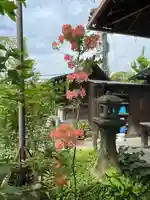 青龍寺(京都府)