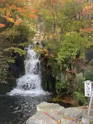 富士山東口本宮 冨士浅間神社の周辺