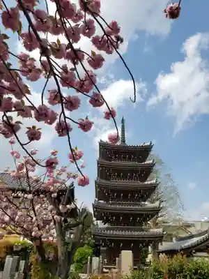 光徳院のその他建物