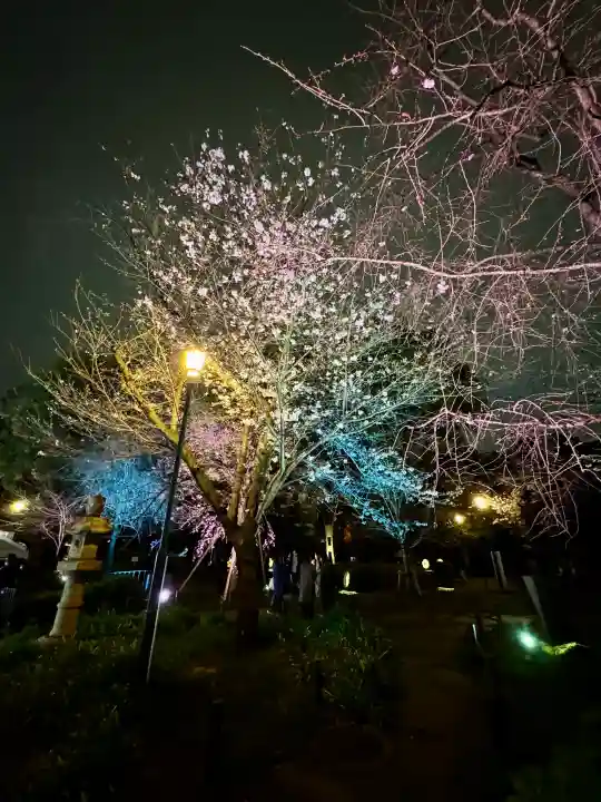 靖國神社の{uncategorized: "未分類", other: "その他", undefined: "問題あり", building: "その他建物", grave: "お墓", sacred_gate: "鳥居", guardian: "狛犬", statue: "像", buddha: "仏像", history: "歴史", nature: "自然", garden: "庭園", animal: "動物", pagoda: "塔", temizu: "手水舎", mountain_gate: "山門・神門", sanctuary: "本殿・本堂", subordinate: "末社・摂社", art: "芸術", scenery: "景色", jizo: "地蔵", ema: "絵馬", goshuin: "御朱印", omikuji: "おみくじ", items: "授与品その他", amulet: "お守り", goshuincho: "御朱印帳", eats: "食事", festival: "お祭り", votive_dance: "神楽", shichigosan: "七五三参", wedding: "結婚式", experience: "体験その他", initially: "初詣", around: "周辺", anti_infection: "感染症対策"}