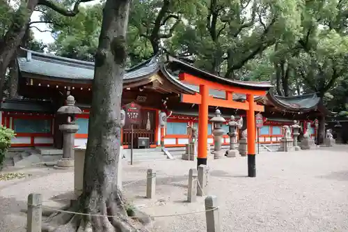 杭全神社の鳥居