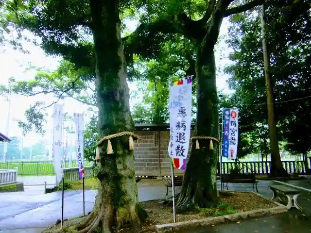 大宮・大原神社の自然