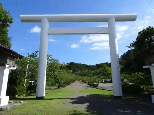 安房神社の鳥居