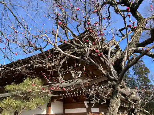 清水寺(東京都)