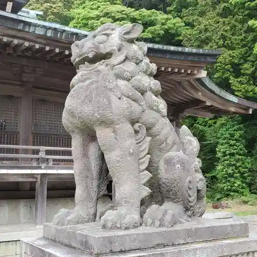 函館八幡宮の狛犬