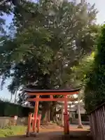 八幡大神(千葉県)