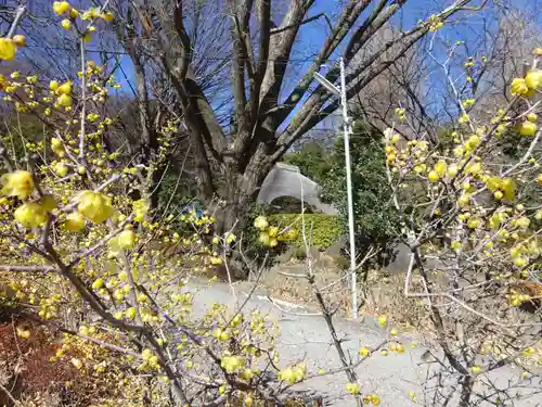 横浜　西方寺(神奈川県)