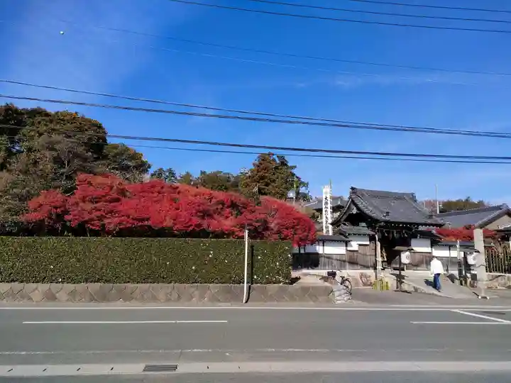 養学院の山門・神門