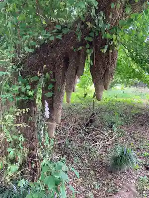 東征神社(茨城県)