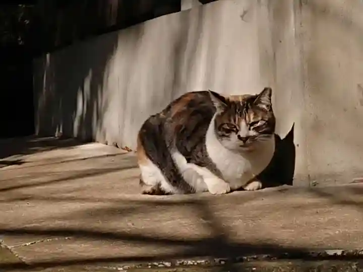 八剱神社の動物