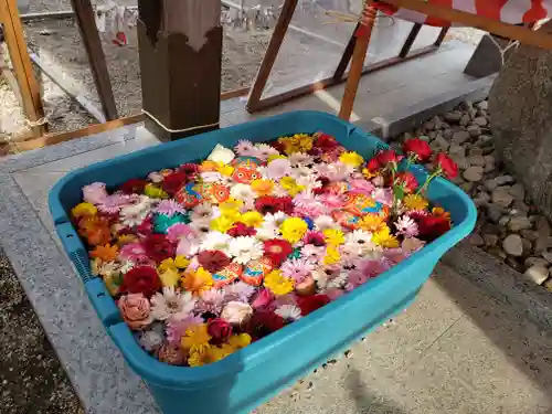 金井神社の手水舎