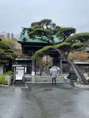 長谷寺の山門・神門
