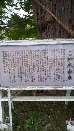 神社（洞爺湖中の島）の歴史