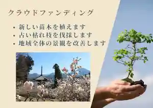 国宝 大法寺(長野県)(2023年11月21日(火) 16時28分34秒投稿)