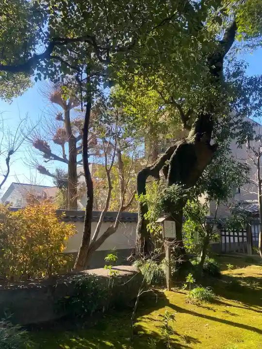 昌光律寺(愛知県)